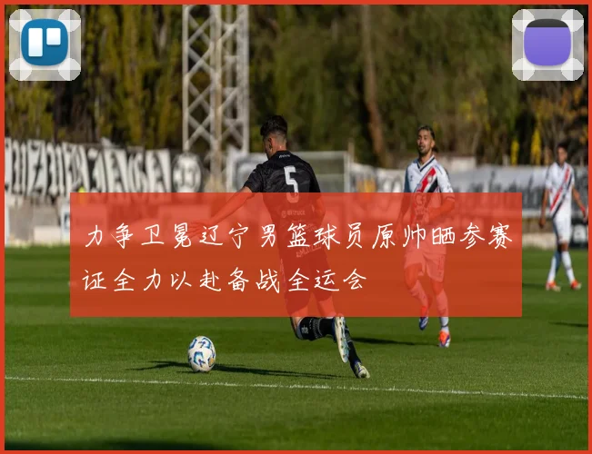 力争卫冕辽宁男篮球员原帅晒参赛证全力以赴备战全运会